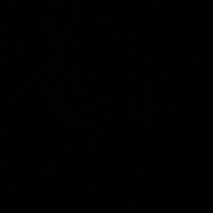 Meet your Posher, Ethan